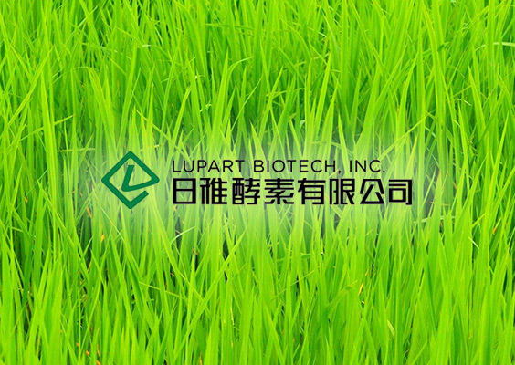 日雅酵素