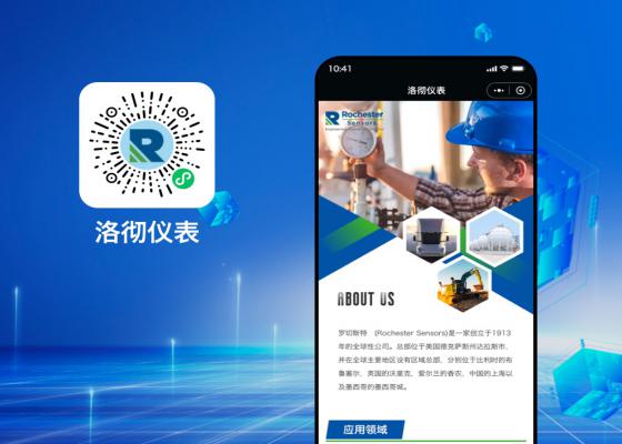 洛徹儀表